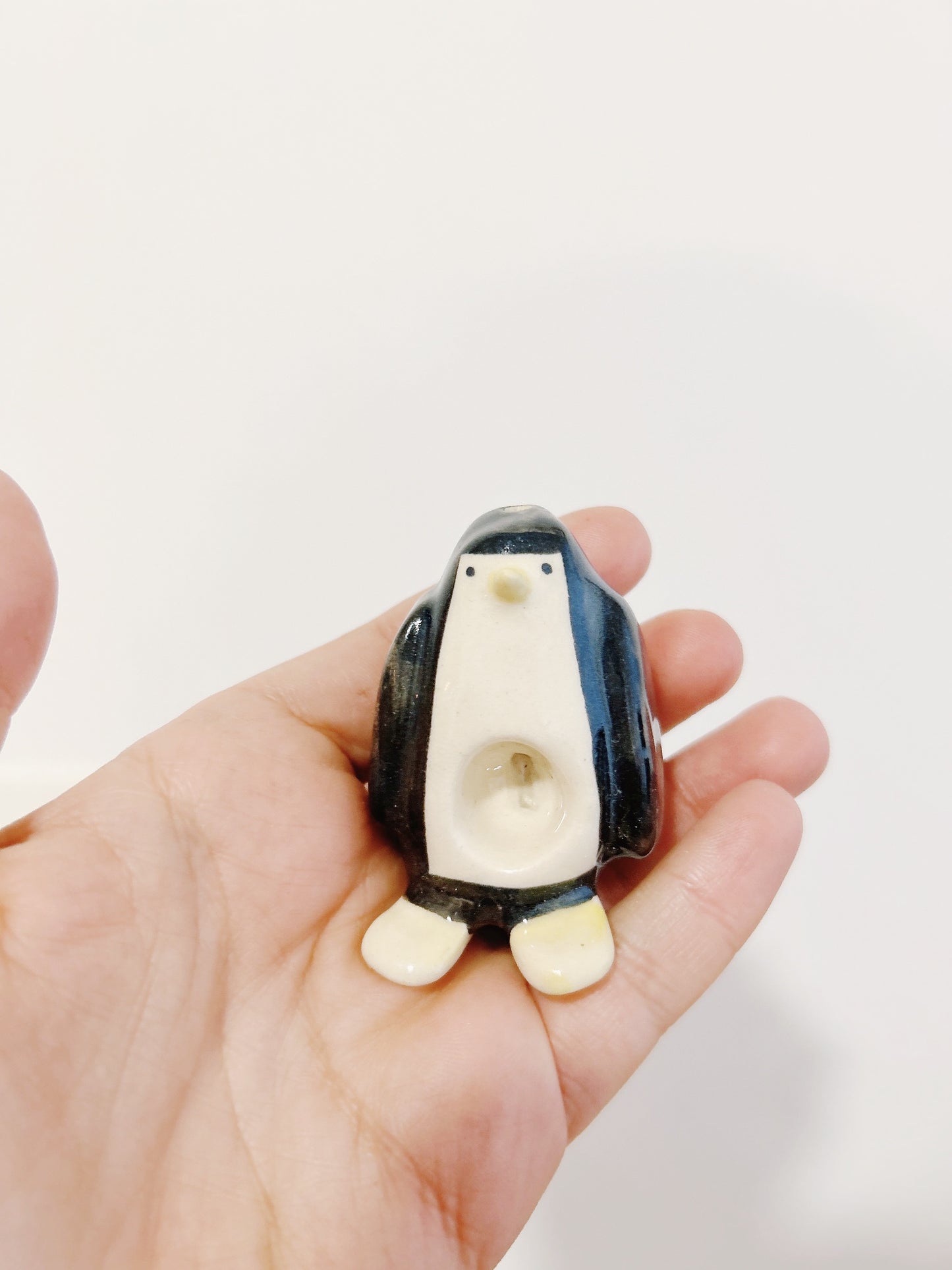 Pingüipipa
